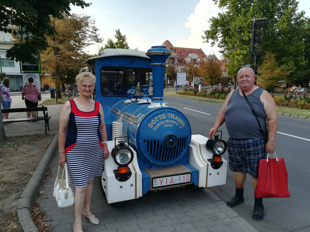 Sightseeing Nostalgia Train-豪伊杜索博斯洛必去景点