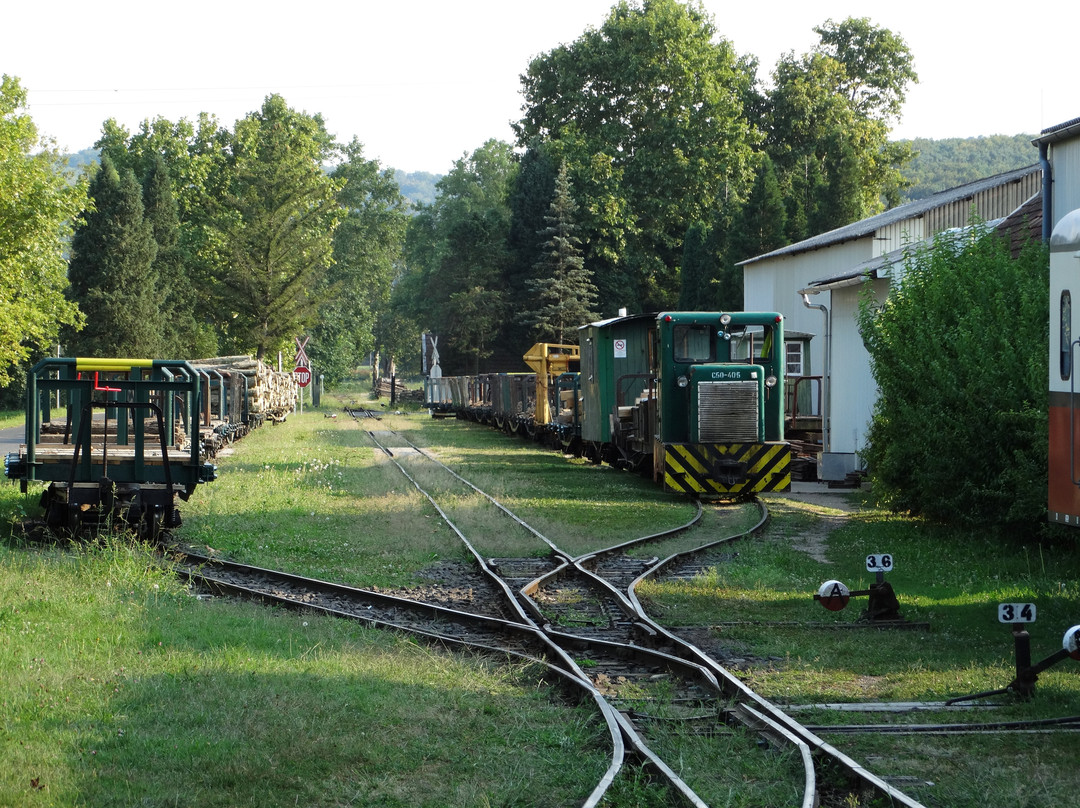 Forestry Railway, Csomoder景点图片