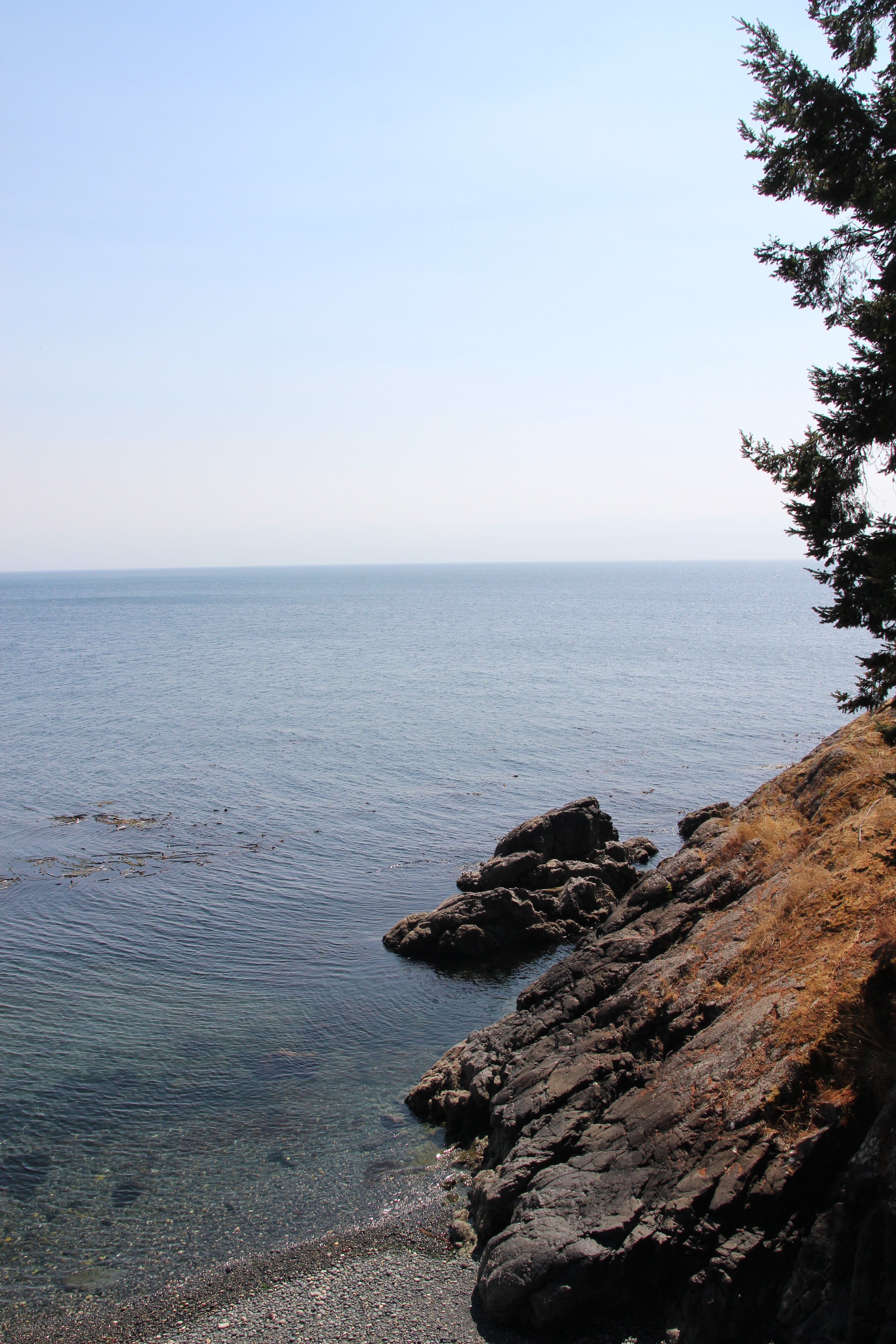 Eagle Cove Beachfront Guest Suites-浴室