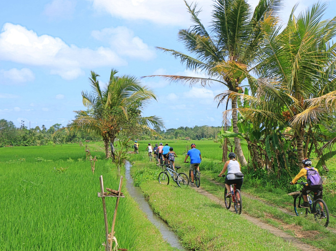 Bali Lost Adventure-达巴南必去景点