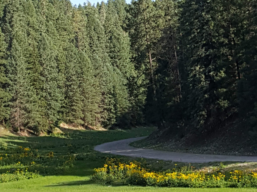 State Route 244-Cloudcroft必去景点