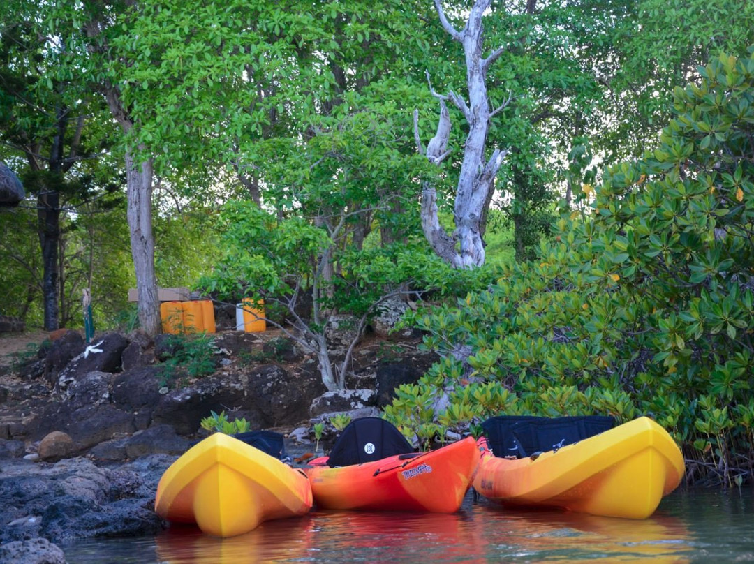 Sea Kayak Adventures景点图片