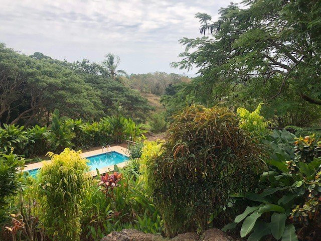 Palmlea Farms Ecolodge Villas and Bures