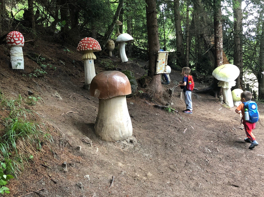 Forscherpfad-Ladis必去景点