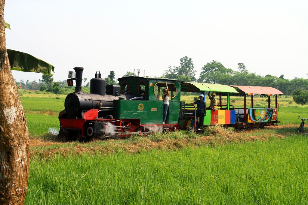 Kedawung Agro Selfie-巴苏鲁安必去景点