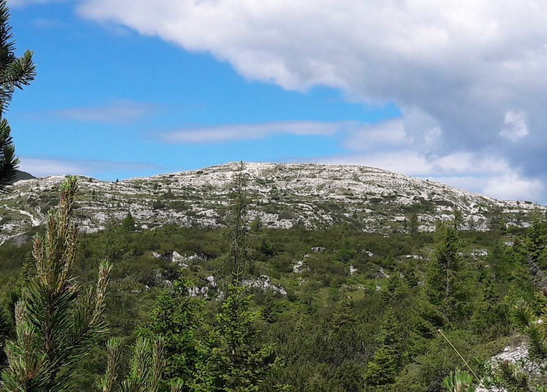Monte Ortigara景点图片