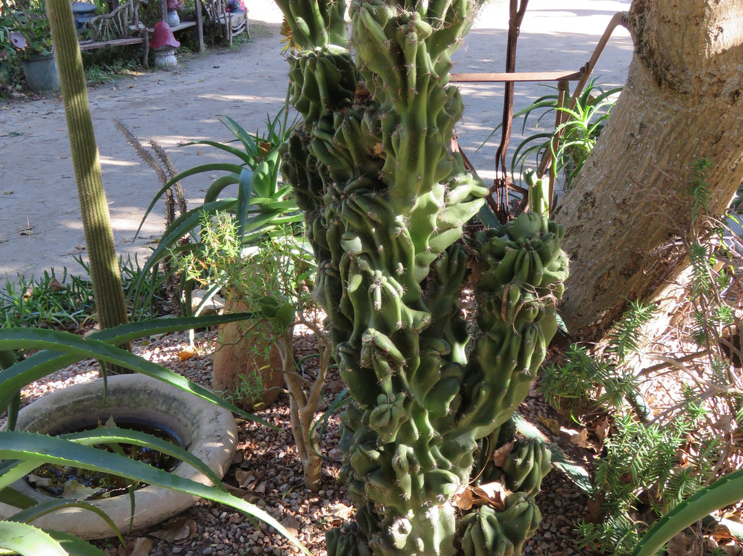 Timberlake Village-荒野必去景点