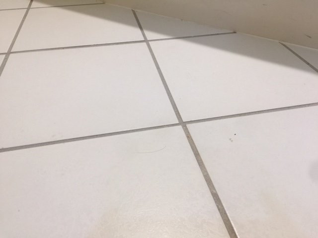 Quality Inn & Suites Pearl-Jackson主图