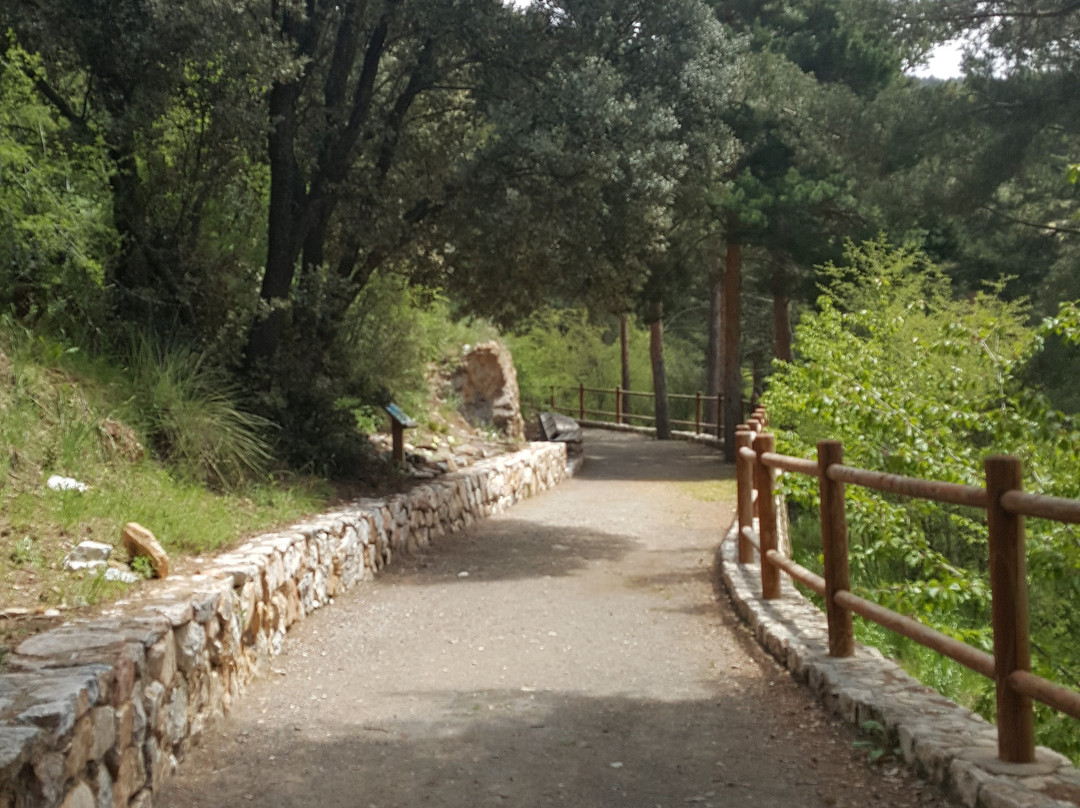 Jardín Botanico Hoya de Pedraza-萨拉内瓦达国家公园必去景点
