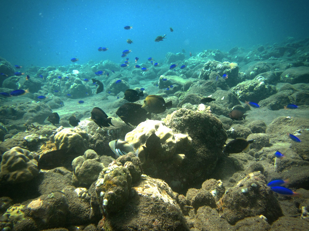 Bali Luxury Divers BLD-艾湄湾必去景点