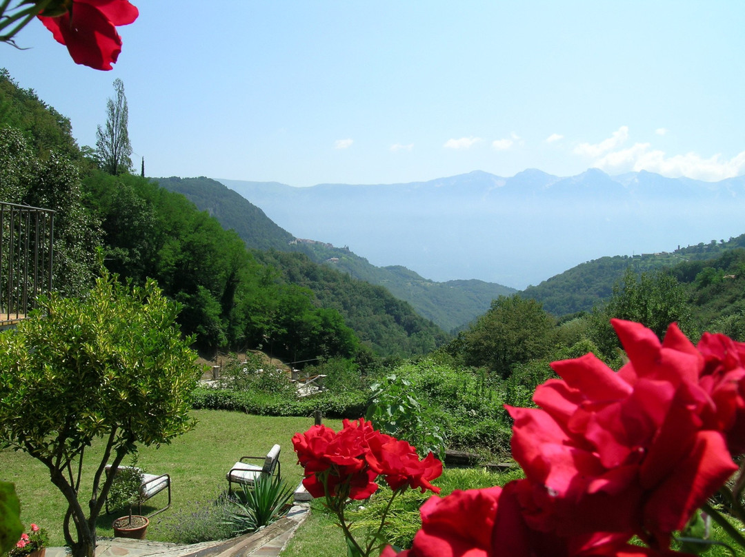 B & B Val di Brasa主图