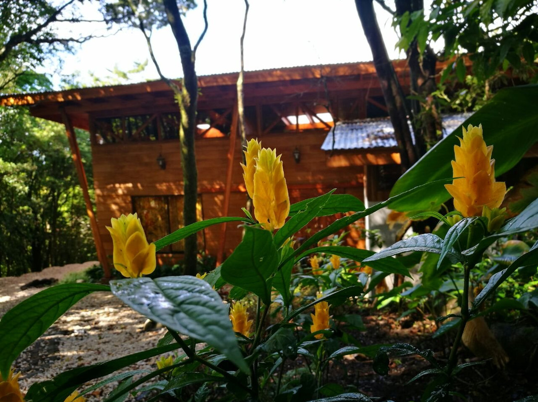 Spa Diamante-蒙特沃德必去景点