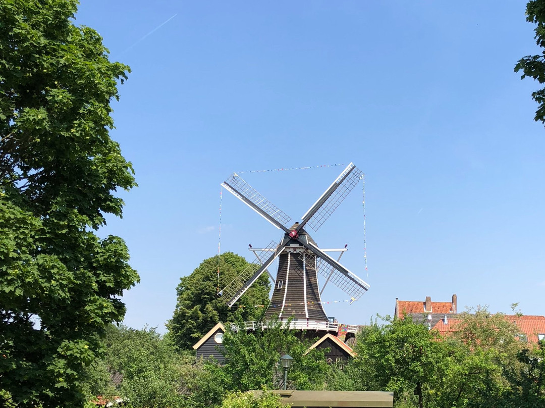 Molen De Fortuin景点图片