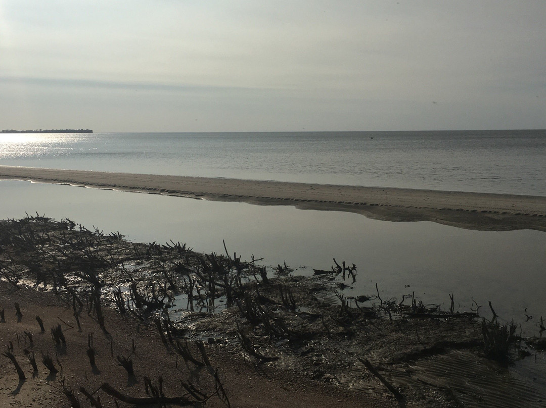 Patricia Beach Provincial Park-Pembina必去景点