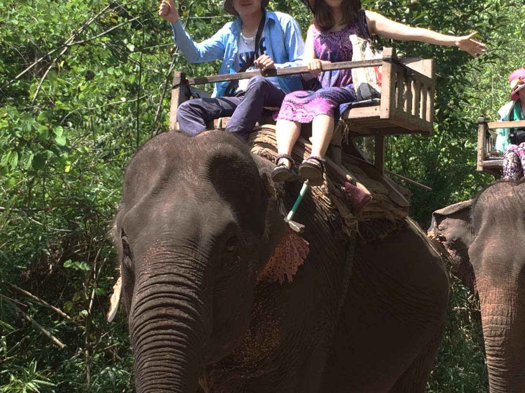 Elephant Riding at Elephant Village-Molagoda必去景点