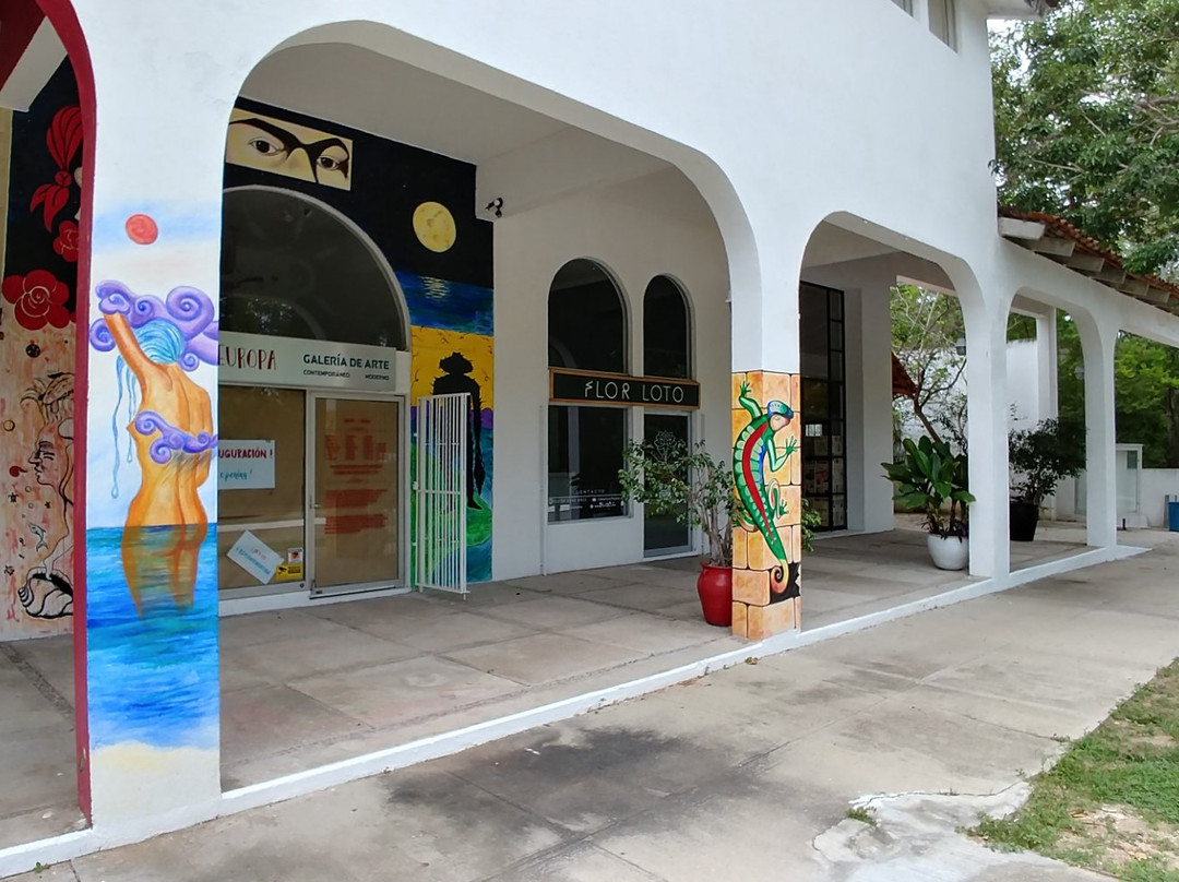 Europa Galeria De Arte-瓦图尔科必去景点