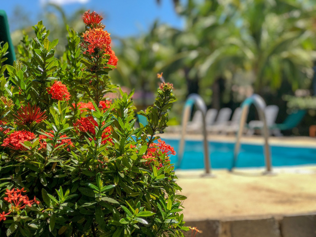 Hotel Isolina Beach主图