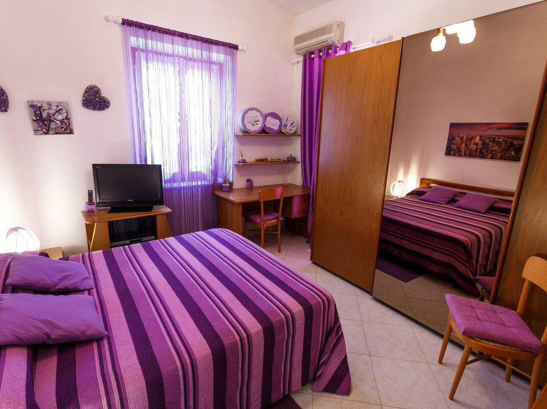 L'Aurora Viola主图