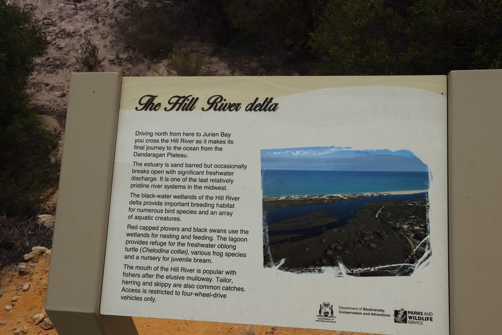 Molah Hill Lookout-朱里恩湾必去景点