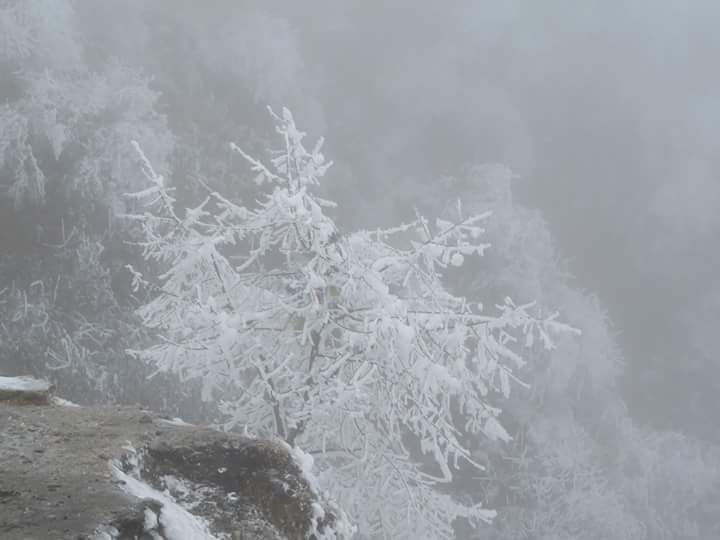 Life on Wheels-古瓦哈提必去景点