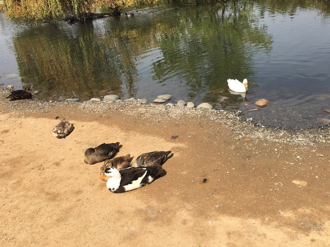 Jardín botanico de la Universidad de Talca-塔尔卡必去景点