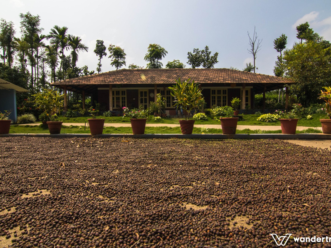 The Woodpecker Homestay - A Wandertrails Stay主图