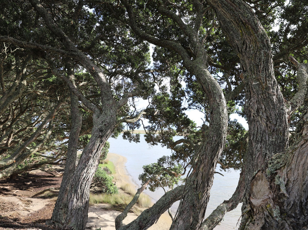 Bream Bay Lodge主图