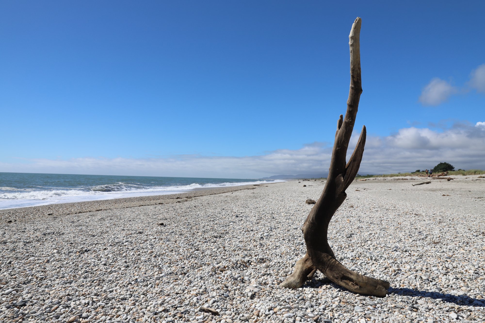 Haast Beach Motel-泳池