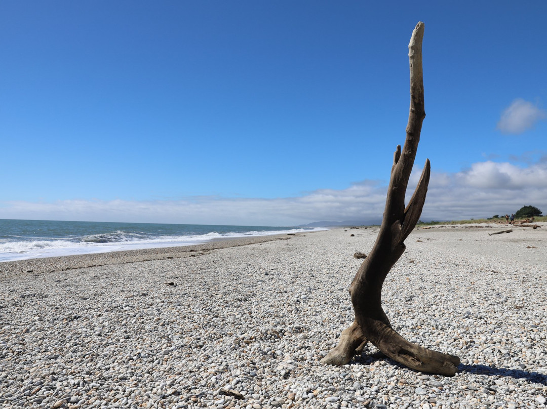 Haast Beach Motel主图