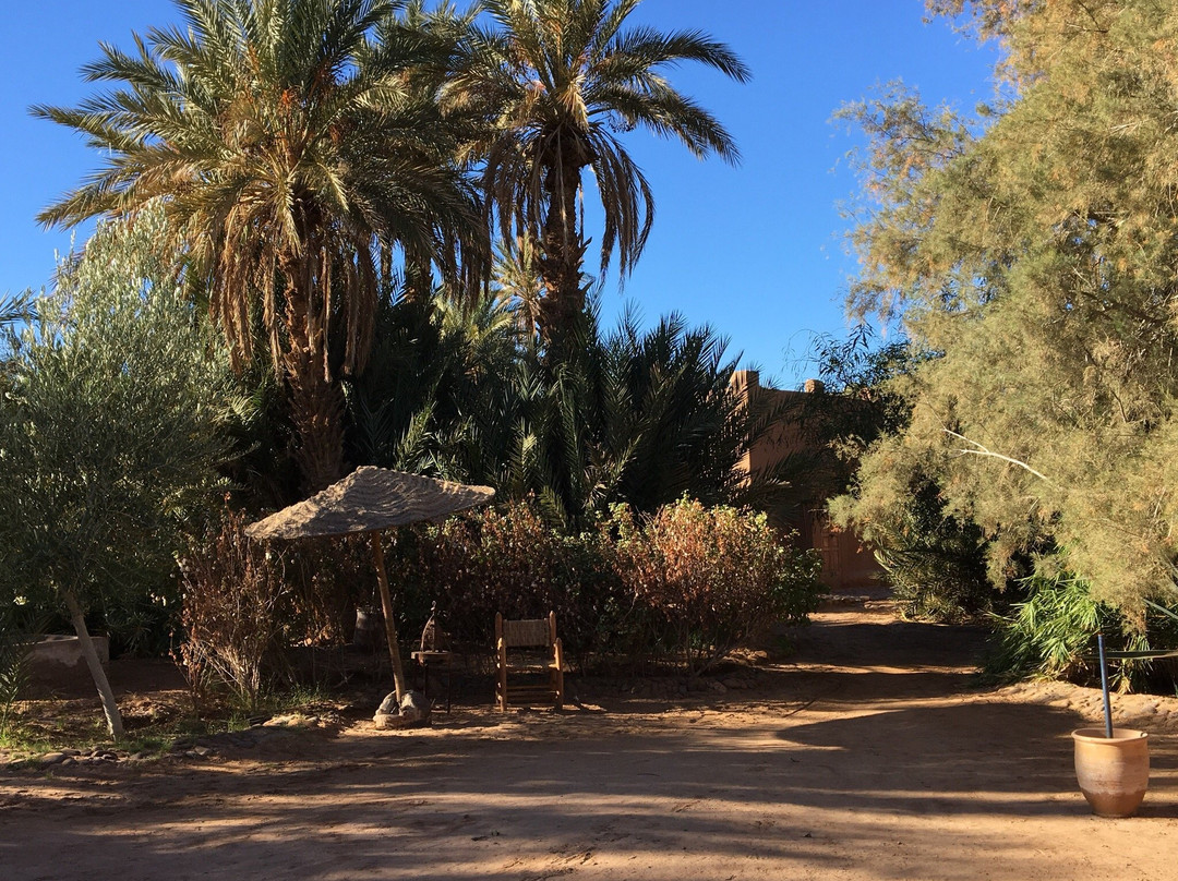 迈哈米德餐馆和美食-Chez Samir