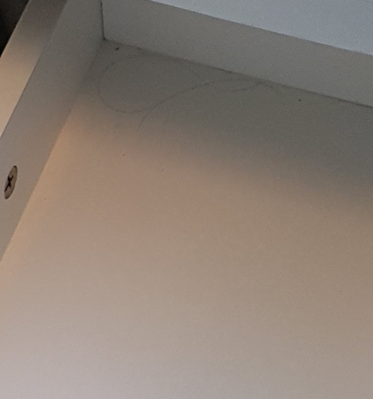 瑞莱斯阿克恩彩虹酒店主图