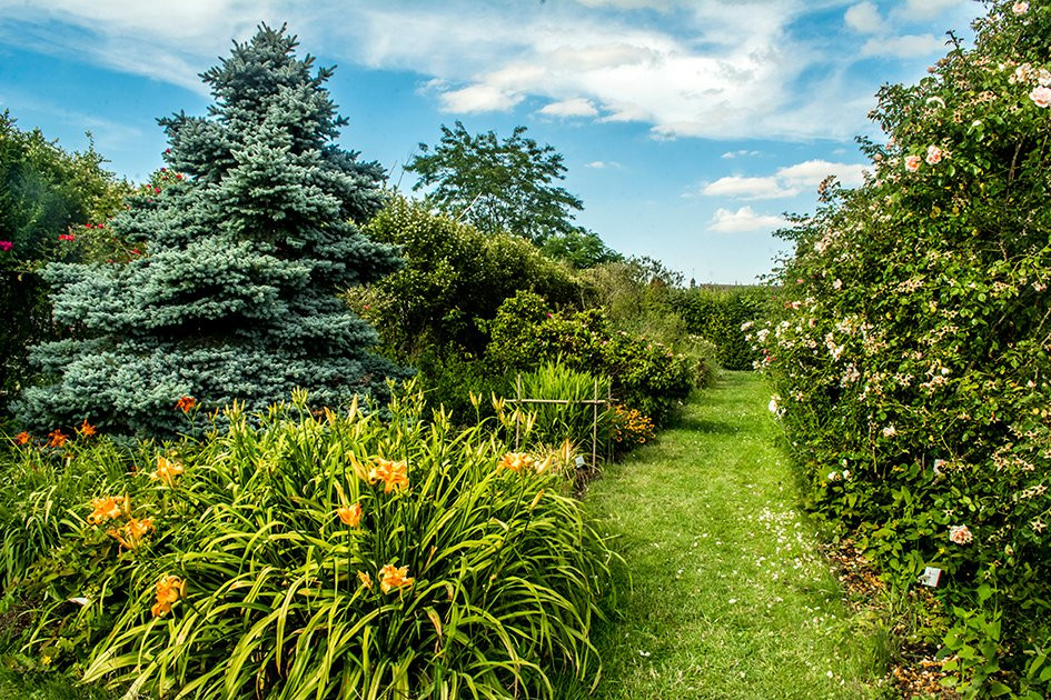 Jardin Botanique de Marnay sur Seine景点图片