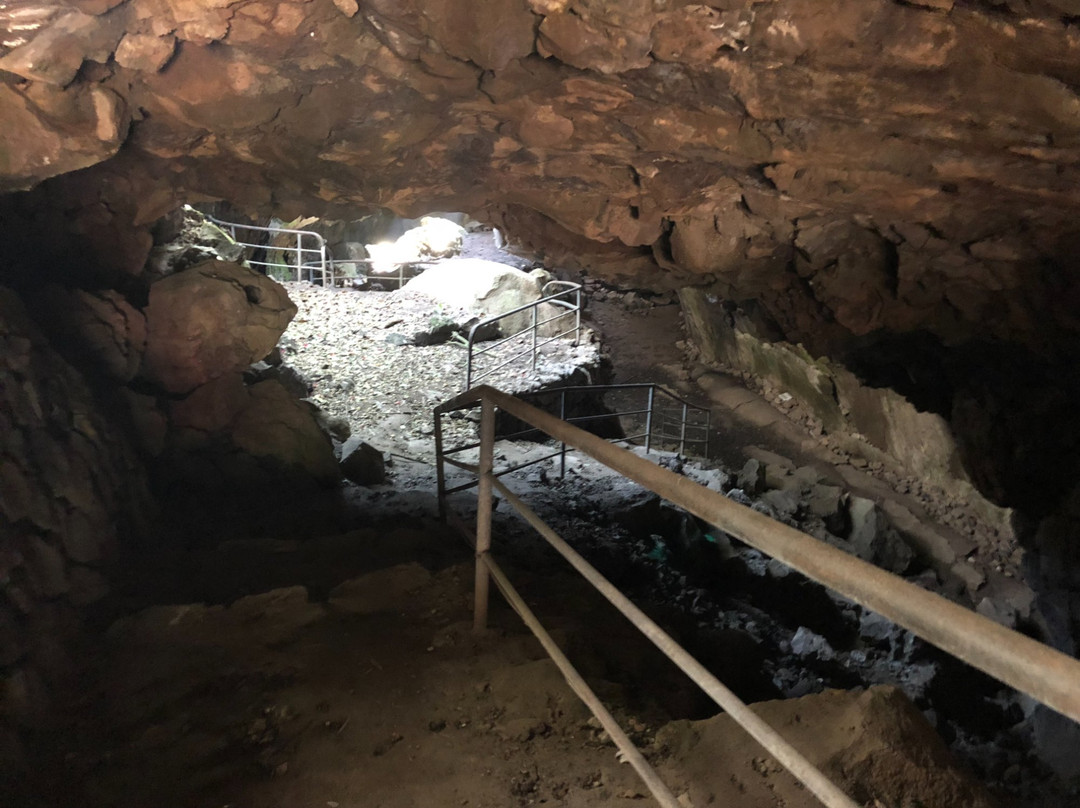 LA Cueva de la Orquidea-哈拉帕必去景点