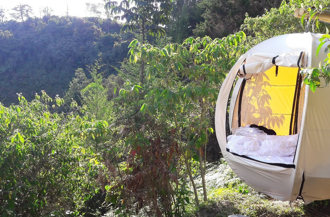 Levit Glamping主图