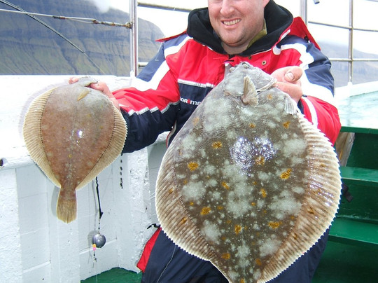 Fishing with Blastein-Vestmanna必去景点