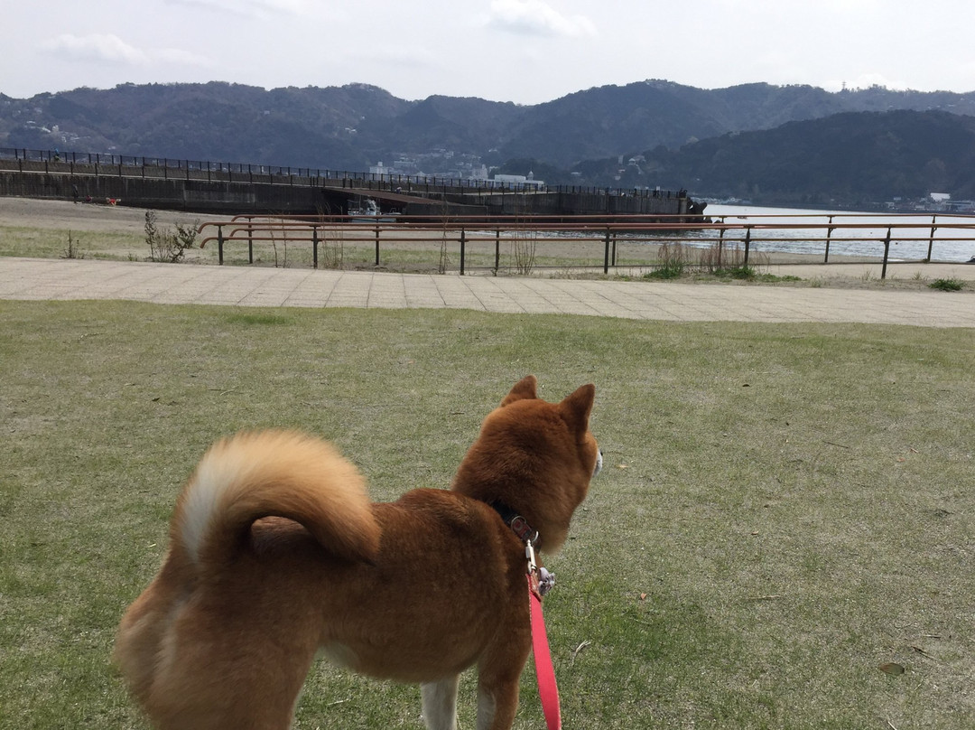 Nagahama Kaihin Park-热海市必去景点