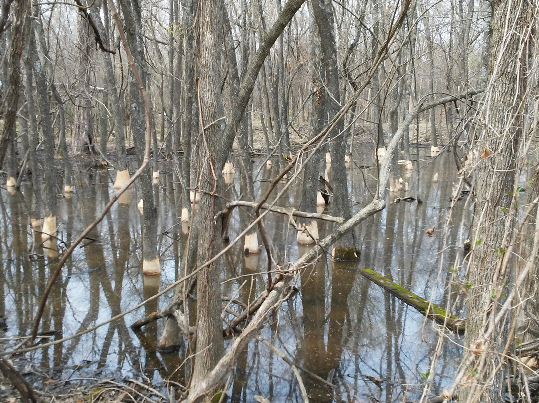 Mary K. Oxley Nature Center-塔尔萨必去景点