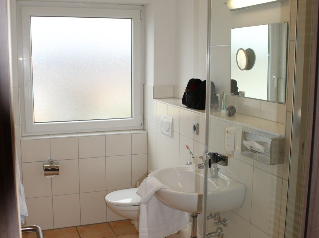 Hotel Berkheimer Hof主图