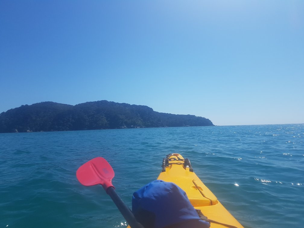 Tasman Bay Sea Kayaking Adventures景点图片