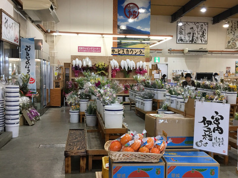 Saisaikiteya-今治市必去景点