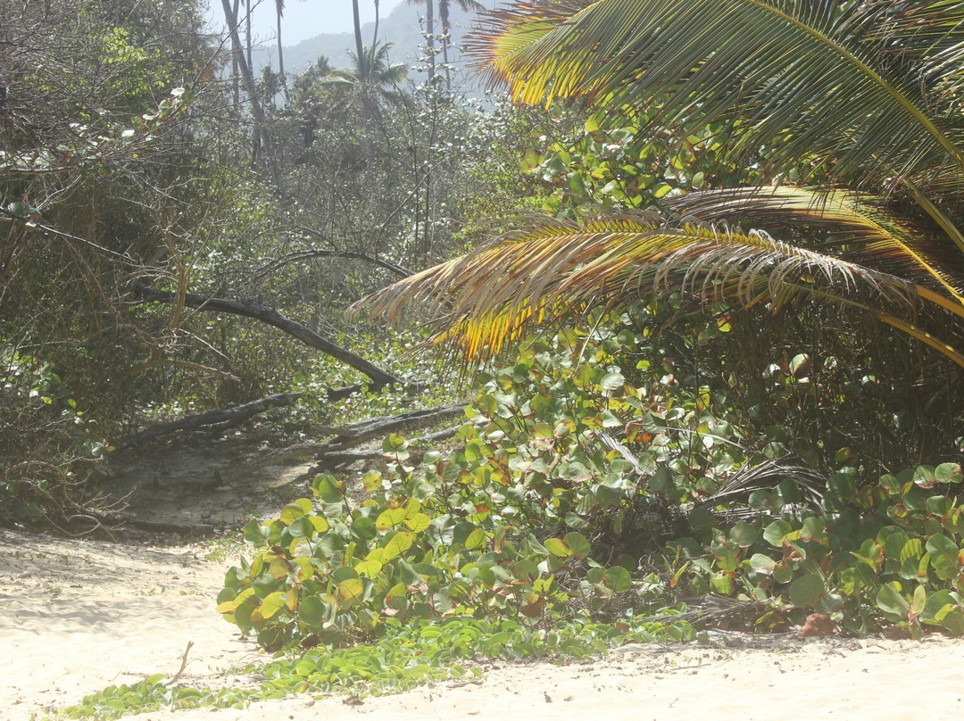 Playa Grande景点图片