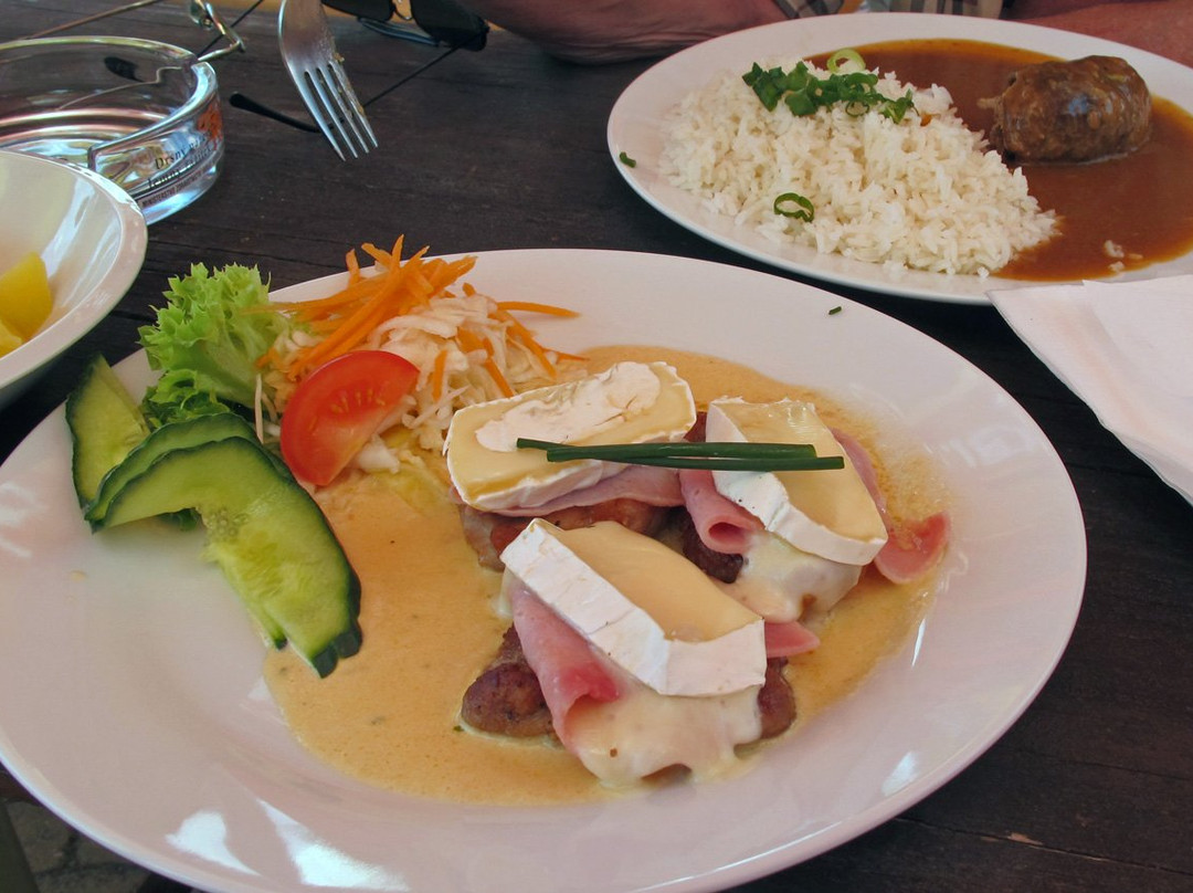 Hradek餐馆和美食-Restaurace Pod Kastanem