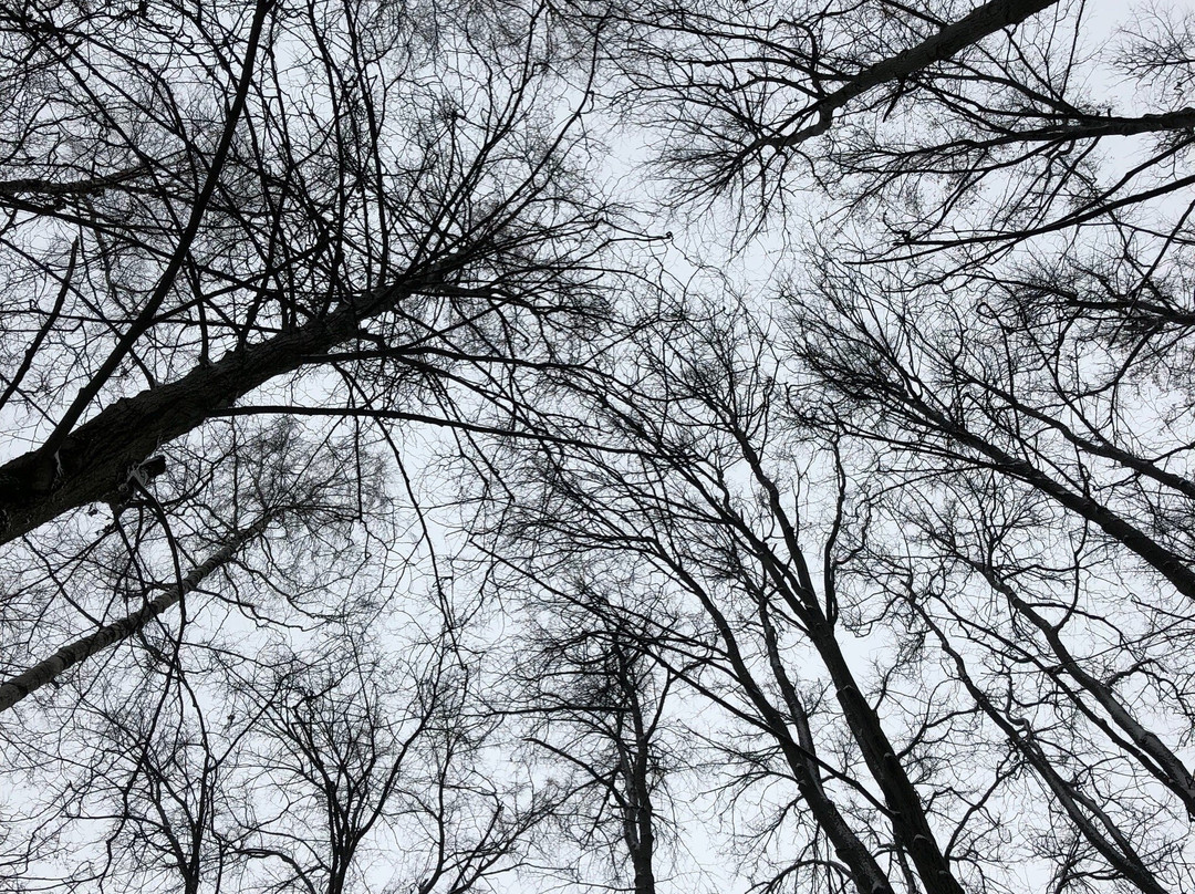 Sport Club Alfa-Bittsa-莫斯科必去景点