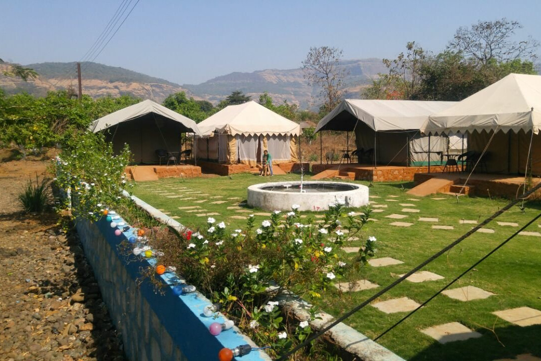 Phoebe's Farm