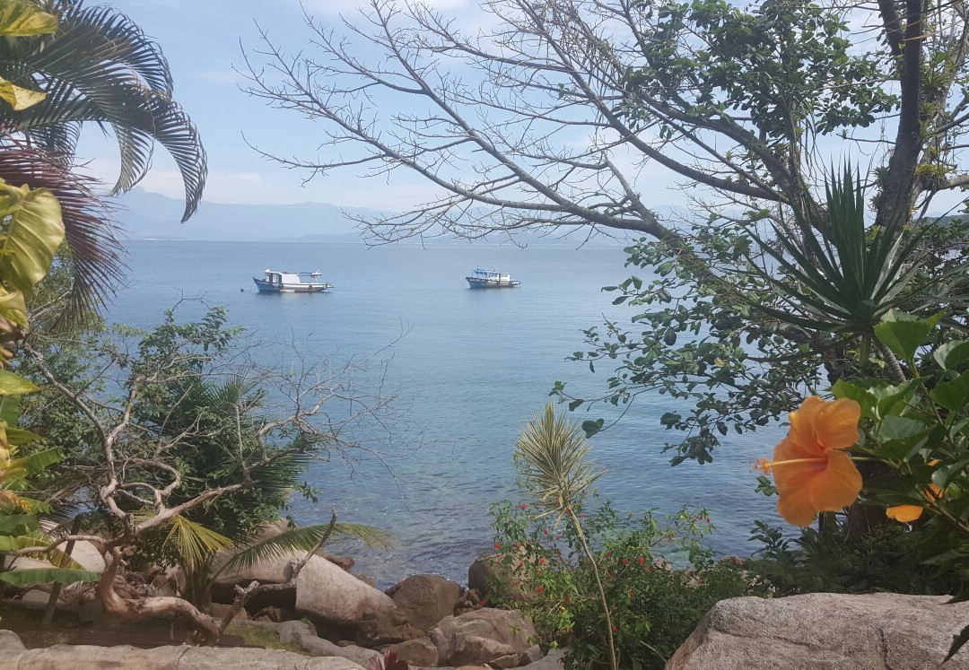 Praia Longa旅游攻略图片