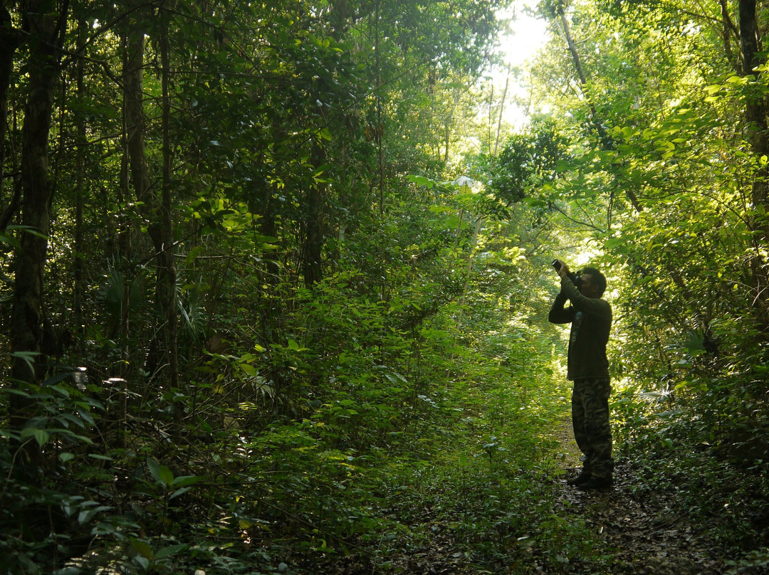 Reserva Toh-从莫雷洛斯港必去景点