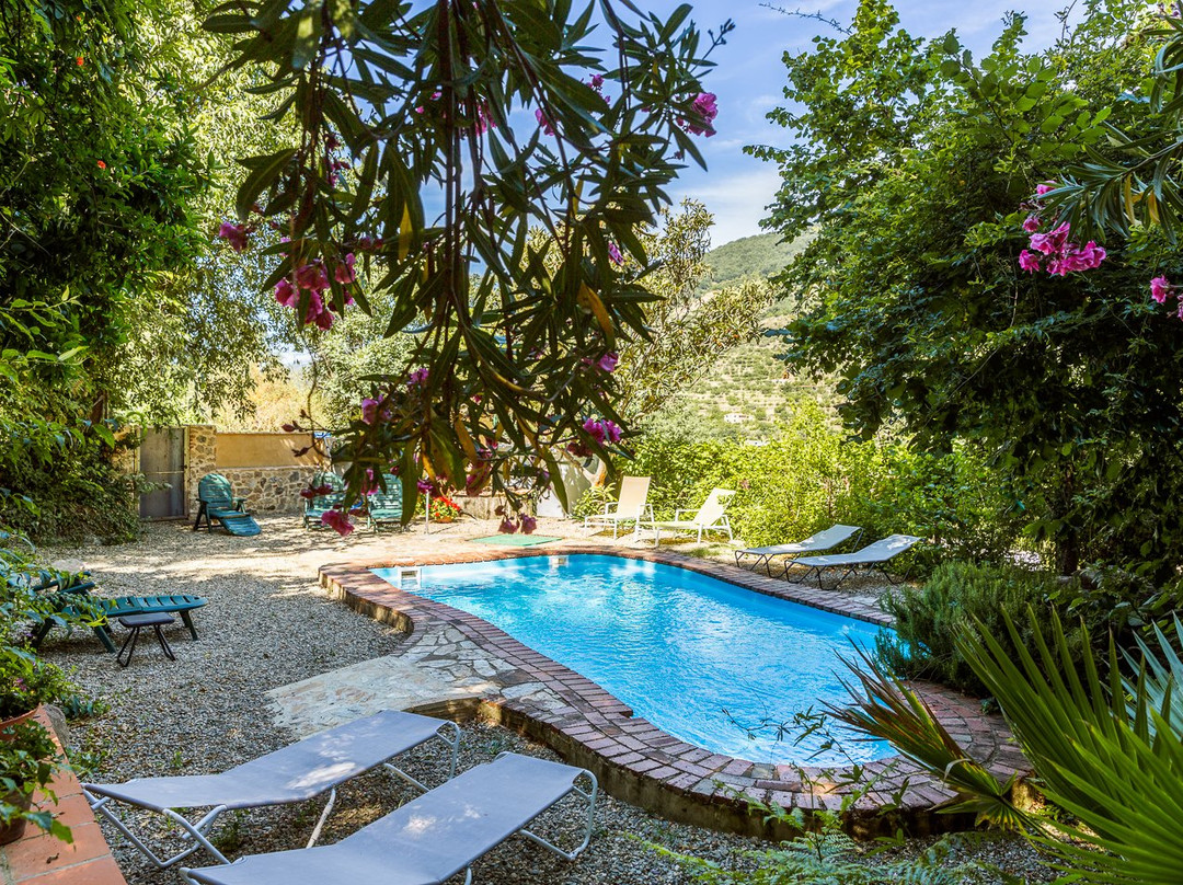 林中小屋乡村旅馆主图