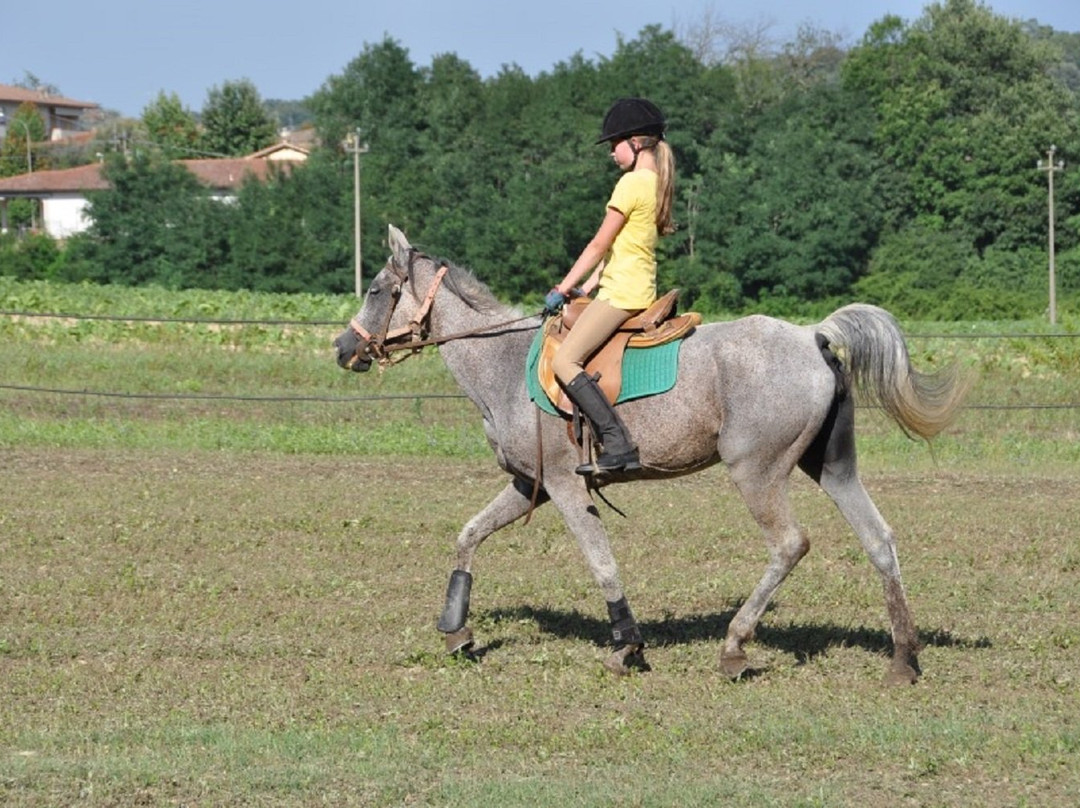 Fattoria Isola主图