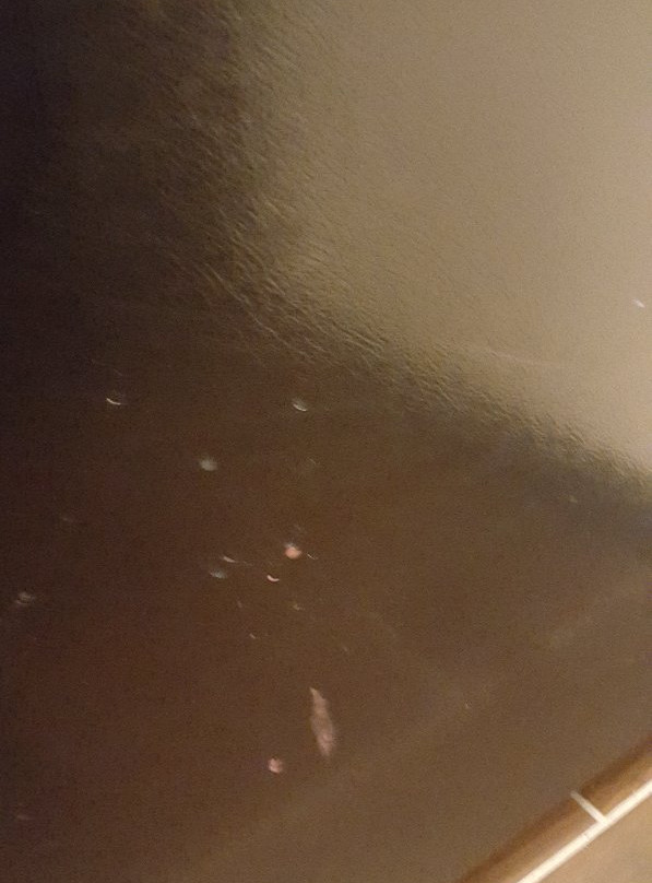 哈特福德酒店住宿-Candlewood Suites Hartford Downtown by IHG