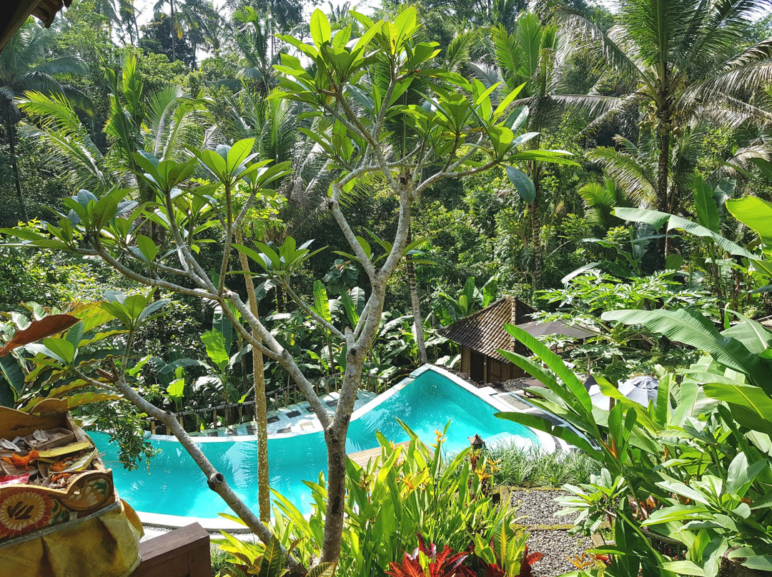 Song Broek Jungle Resort主图